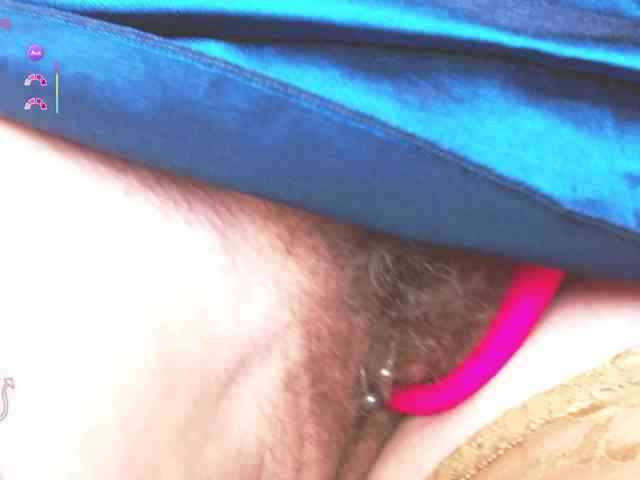 furbaFox webcam