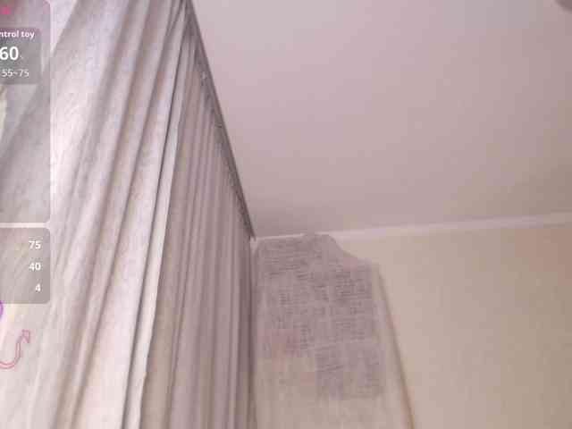 furbaFox webcam