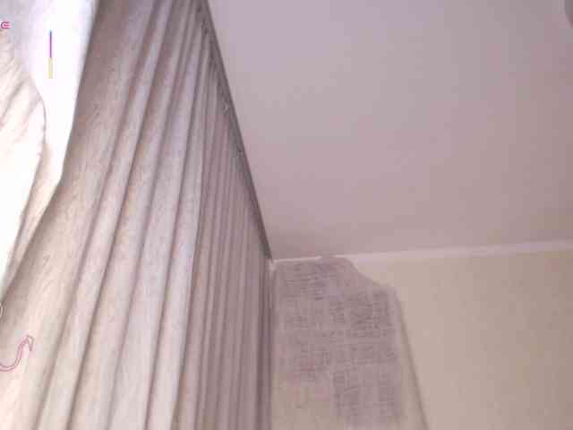 furbaFox webcam