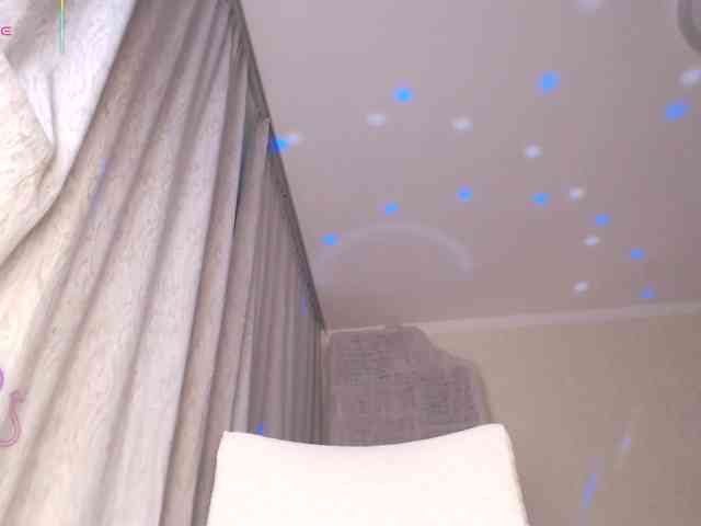 furbaFox webcam