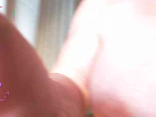 furbaFox webcam