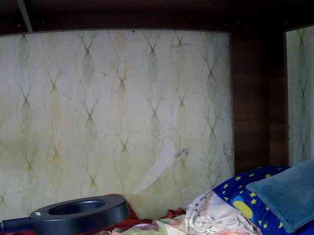 scuban87