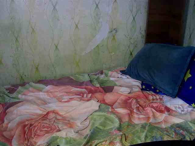 scuban87