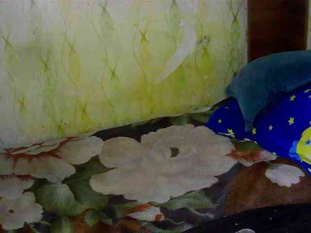 scuban87