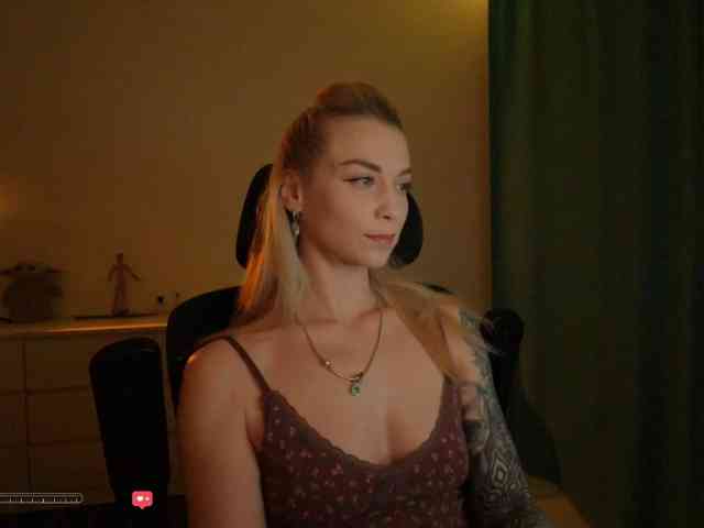 DigitalAlexa webcam