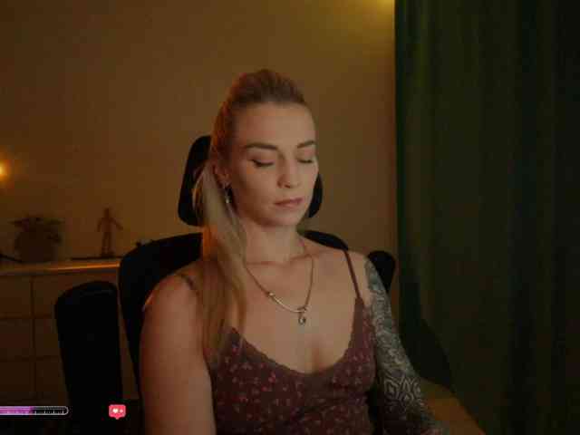 DigitalAlexa webcam