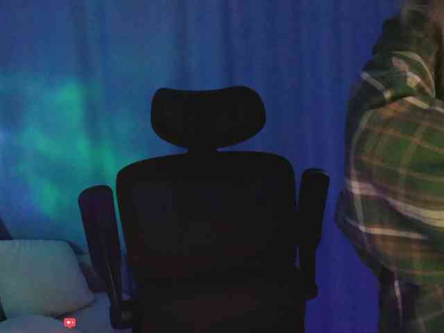 DigitalAlexa webcam