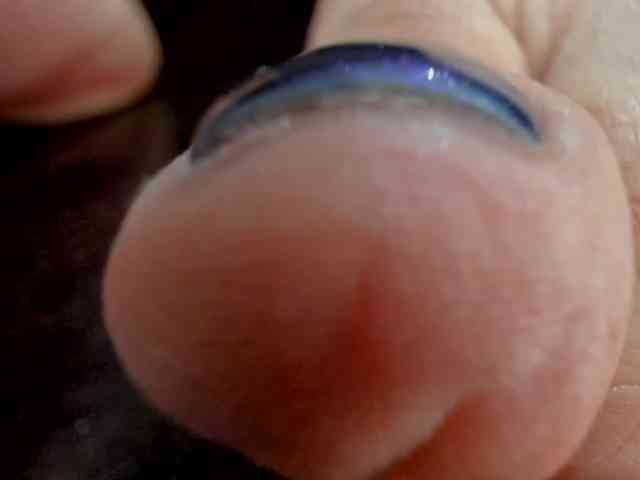 MissPuffyllove webcam