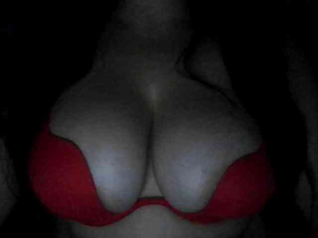 Sibela webcam