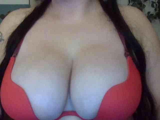 Sibela webcam