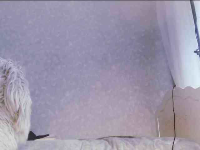 Va-len-cia webcam