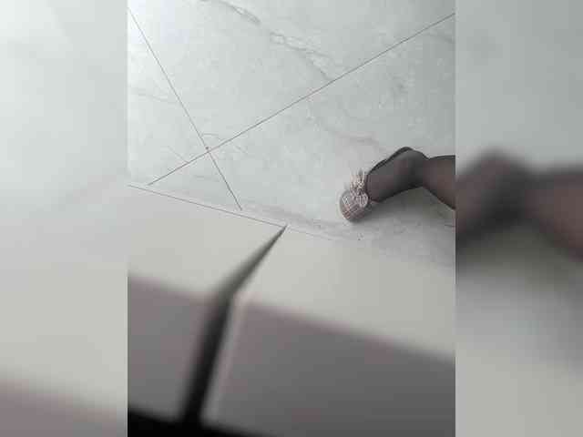 Va-len-cia webcam