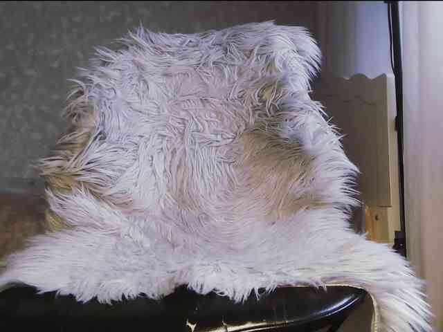 Va-len-cia webcam