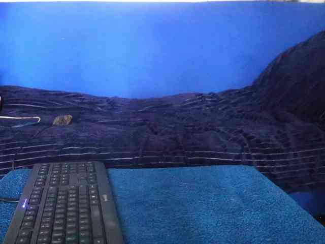 LadyMoonCash webcam