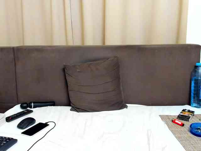 Sophiestique webcam