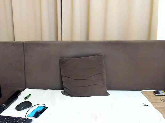 Sophiestique webcam