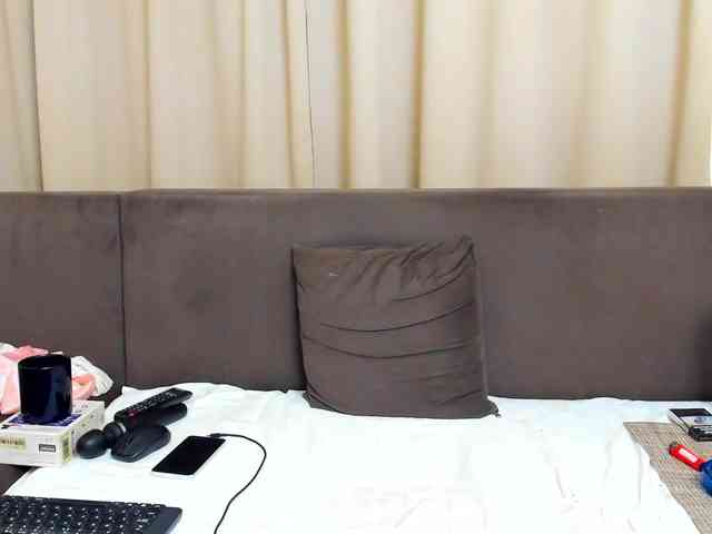 Sophiestique webcam