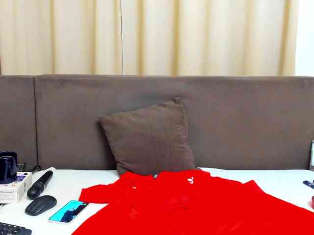 Sophiestique webcam