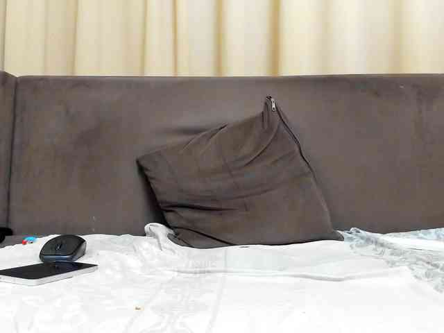 Sophiestique webcam