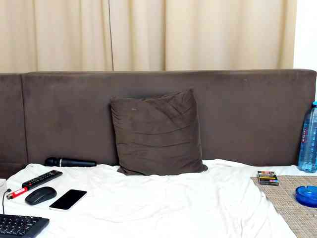 Sophiestique webcam