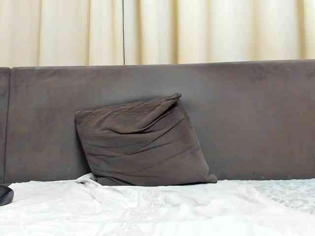 Sophiestique webcam