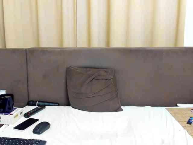 Sophiestique webcam