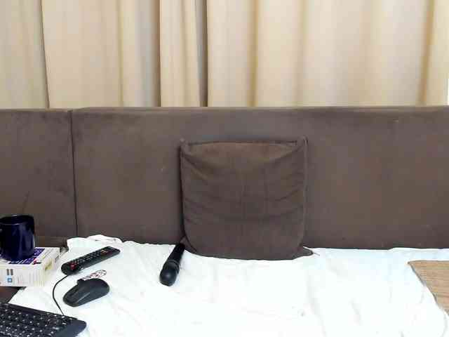 Sophiestique webcam