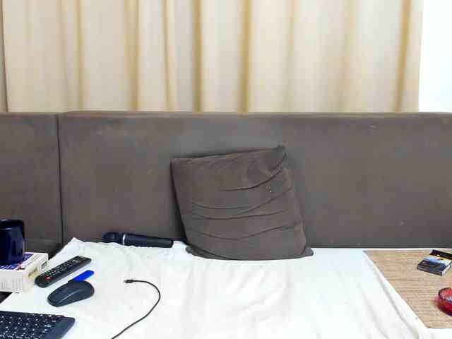 Sophiestique webcam