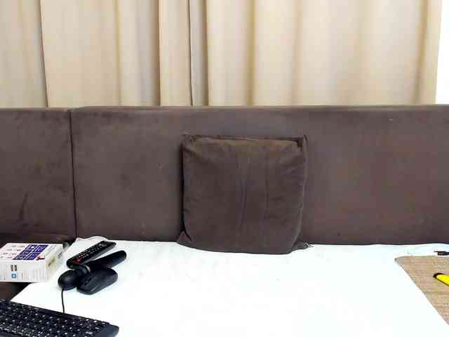 Sophiestique webcam