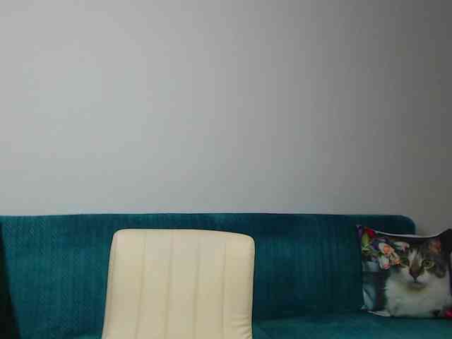 Sara-Daisy webcam