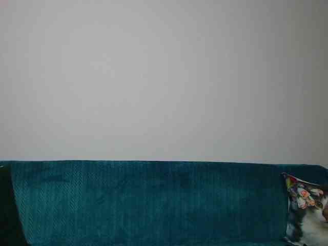 Sara-Daisy webcam