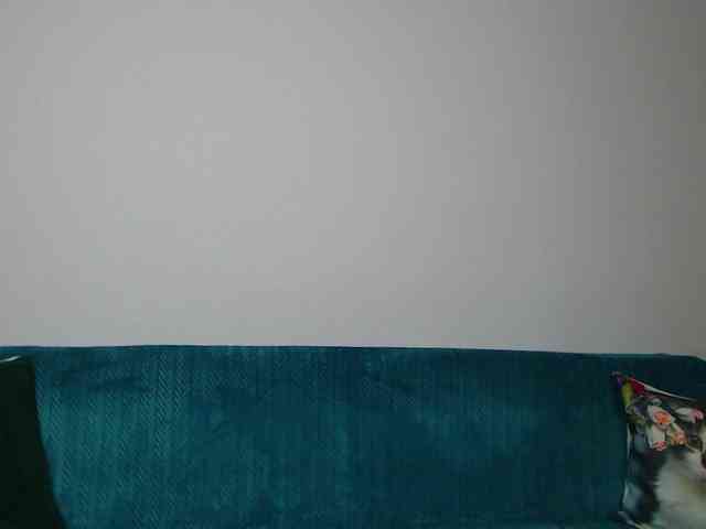 Sara-Daisy webcam