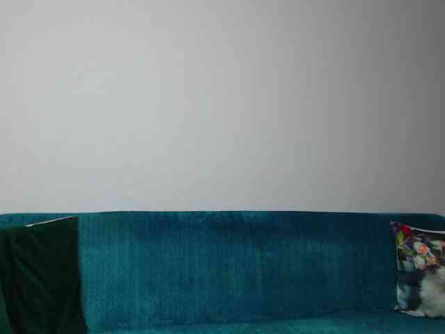 Sara-Daisy webcam