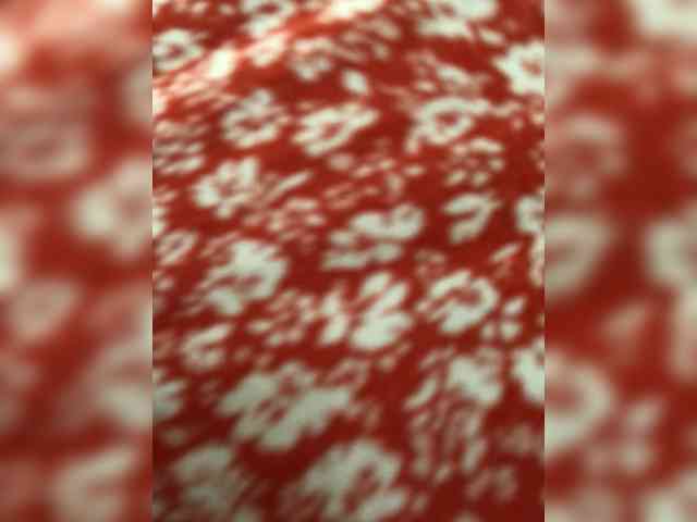 Miss-s webcam