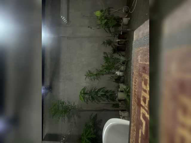 Atasya live cam preview