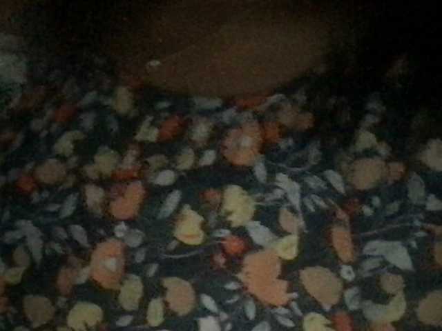 1sweetasian