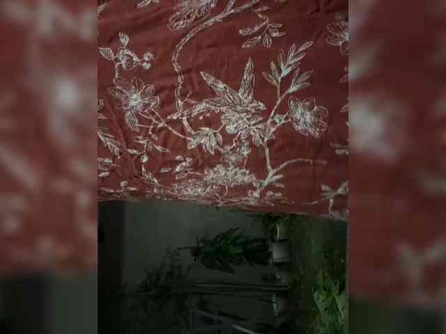 Atasya webcam