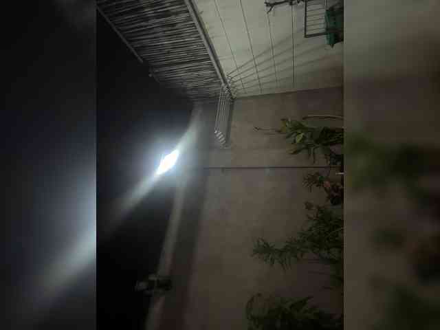 Atasya webcam