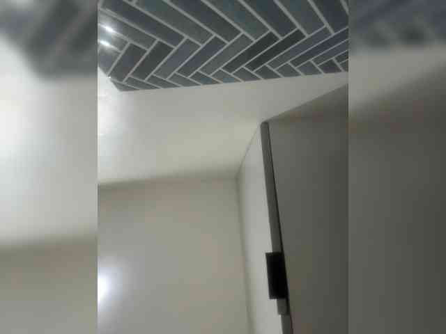 supreelea webcam