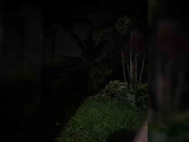 Atasya webcam
