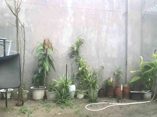 Atasya webcam