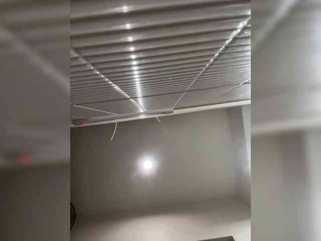 supreelea webcam