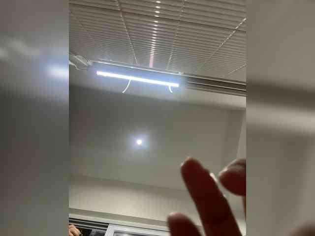 supreelea webcam
