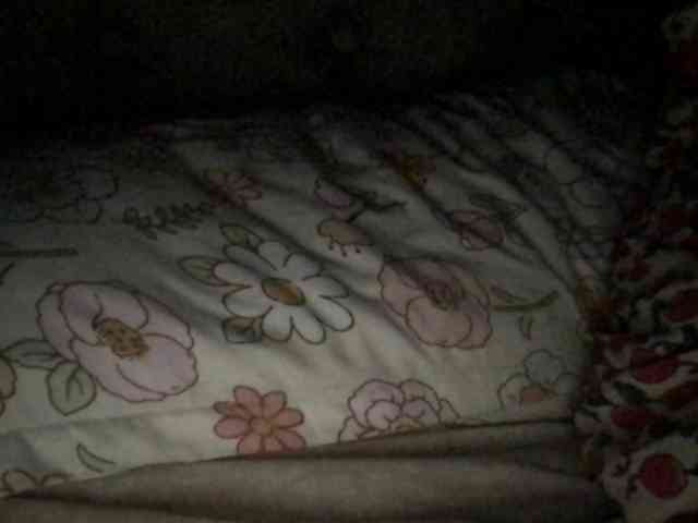 Atasya webcam