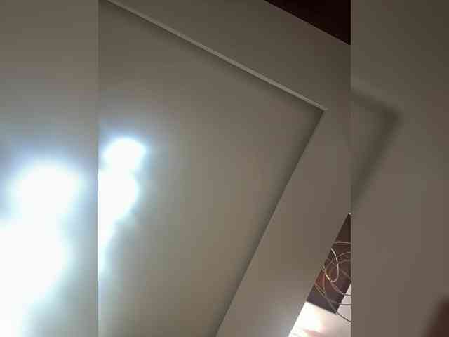 supreelea webcam