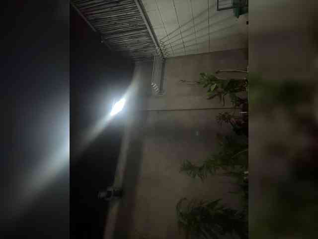 Atasya webcam