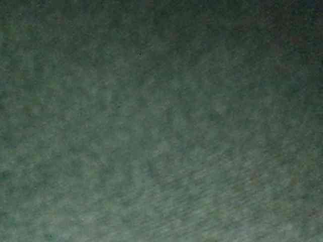Atasya webcam