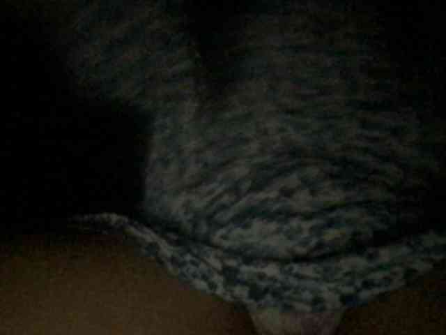 Atasya webcam