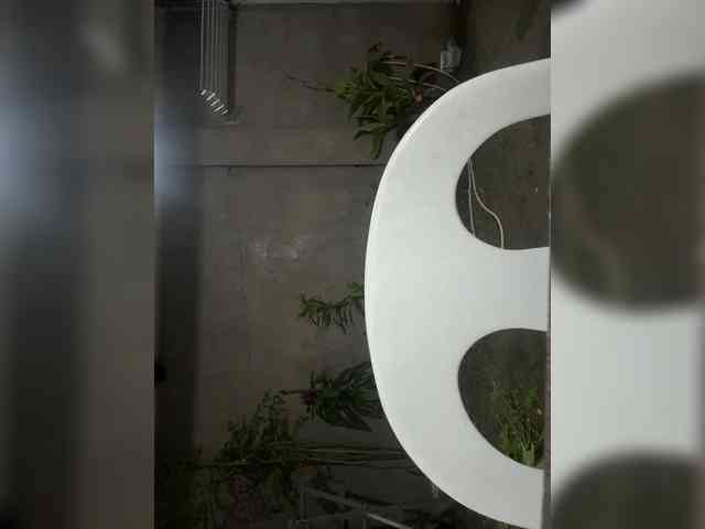 Atasya webcam