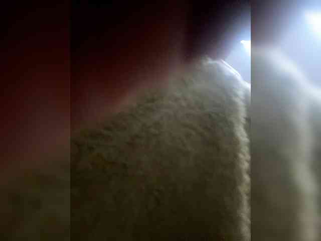 LLeYaBella webcam